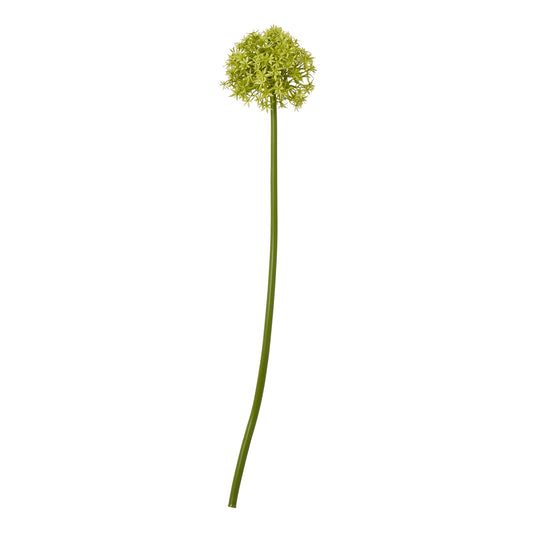Green Allium Stem - Medium